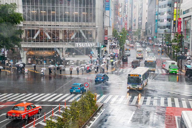 雨の日の渋谷,雨の日,雨,梅雨,交差点,信号,横断歩道,足元,傘,かさ,道路,アスファルト,水たまり,水溜まり,水しぶき,渋谷,スクランブル交差点,shibuya,japan,rain,umbrella