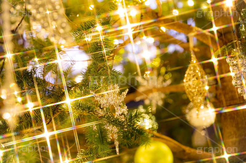 光り輝くクリスマスツリー,クリスマスツリー,イルミネーション,イルミ,電飾,電球,発光ダイオード,冬,キラキラ,綺麗,きれい,キレイ,煌,輝,デート,クリスマス,飾り,デコレーション,イベント,モミの木,もみの木,LED,illumination,tree,CHRISTMAS,Xmas,ornament,フルサイズ撮影