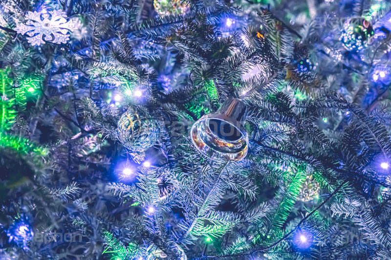 光り輝くクリスマスツリー,クリスマスツリー,イルミネーション,イルミ,電飾,電球,発光ダイオード,冬,キラキラ,綺麗,きれい,キレイ,煌,輝,デート,クリスマス,飾り,デコレーション,イベント,モミの木,もみの木,オーナメント,ボール,ベル,illumination,tree,LED,CHRISTMAS,Xmas,ornament,bell,フルサイズ撮影