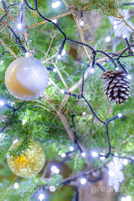 光り輝くクリスマスツリー,クリスマスツリー,イルミネーション,イルミ,電飾,電球,発光ダイオード,冬,キラキラ,綺麗,きれい,キレイ,煌,輝,デート,クリスマス,飾り,デコレーション,イベント,モミの木,もみの木,オーナメント,ボール,松ぼっくり,まつぼっくり,illumination,tree,LED,CHRISTMAS,Xmas,ornament,フルサイズ撮影