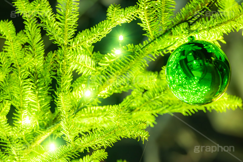 光り輝くクリスマスツリー,クリスマスツリー,イルミネーション,イルミ,電飾,電球,発光ダイオード,冬,キラキラ,綺麗,きれい,キレイ,煌,輝,デート,クリスマス,飾り,デコレーション,イベント,モミの木,もみの木,オーナメント,ボール,illumination,tree,LED,CHRISTMAS,Xmas,ornament,フルサイズ撮影