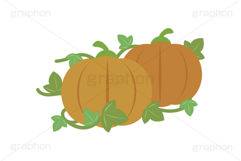 つるの生えたカボチャ,かぼちゃ,カボチャ,南瓜,パンプキン,つる,葉っぱ,ハロウィン,野菜,食材,秋,秋の味覚,挿絵,挿し絵,vegetable,autumn,pumpkin,halloween