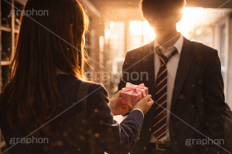 告白,愛,恋,恋愛,学校,高校,高校生,ブレザー,下校,先輩,エモい,推し,付き合う,イケメン,バレンタイン,バレンタインデー,プレゼント,贈り物,チョコレート,菓子,お菓子,ラブ,らぶ,女子力,ガーリー,甘い,スイーツ,人物,男性,女性,男,女,夕日,夕焼け,逆光,chocolate,valentine,sweet,present,school,AI生成素材