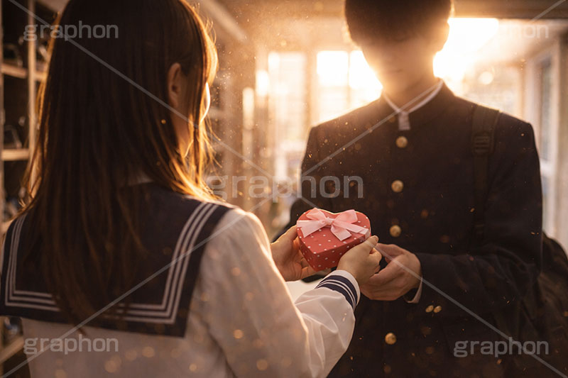 告白,愛,恋,恋愛,学校,中学,中学生,学ラン,セーラー服,下校,先輩,エモい,推し,付き合う,イケメン,バレンタイン,バレンタインデー,プレゼント,贈り物,チョコレート,菓子,お菓子,ラブ,らぶ,女子力,ガーリー,甘い,スイーツ,人物,男性,女性,男,女,夕日,夕焼け,逆光,chocolate,valentine,sweet,present,school,AI生成素材