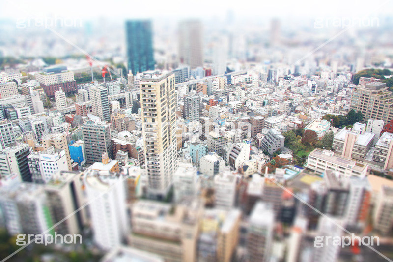 東京タワー,展望台,展望,眺め,ながめ,見下ろす,Tokyo Tower,港区,東京,一望,見晴,ティルトシフト,撮影,のような,模型風,ミニチュア風,ジオラマ風,あおり,煽り