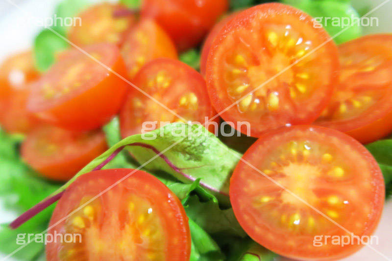 トマトサラダ,トマト,サラダ菜,菜,サラダ,さらだ,salad,前菜,tomato,lycopene,リコピン