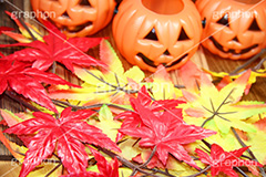 ジャックオーランタン,ハロウィン,はろうぃん,ハロウィーン,Halloween,かぼちゃ,カボチャ,南瓜,ランタン,イベント,秋,紅葉,落ち葉,もみじ,オーナメント,ornament,パンプキン,pumpkin,行事