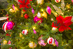クリスマスオーナメント,ポインセチア,クリスマスツリー,クリスマス,CHRISTMAS,Xmas,ornament,飾り,デコレーション,イルミネーション,イルミ,イベント,冬,行事