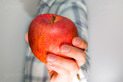 リンゴを持つ男,りんご,リンゴ,林檎,フルーツ,果実,果物,実,持つ,fruit,hand,image,model,男性,モデル,男,青年,手,イメージ,人物,ネルシャツ,チェック,シャツ,謎
