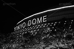 ドーム(モノクロ),モノクロ,白黒,しろくろ,モノクローム,単色画,単彩画,単色,東京ドーム