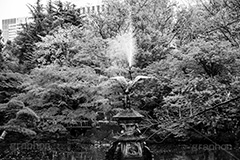 日比谷公園の噴水(モノクロ),モノクロ,白黒,しろくろ,モノクローム,単色画,単彩画,単色,公園