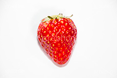 いちご,イチゴ,苺,真っ赤,果樹,果実,フルーツ,果物,くだもの,爽やか,甘酸っぱい,種子,痩果,ビタミン,狩り,デザート,ストロベリー,dessert,fruit,strawberry