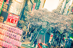 渋谷さくら通り,トイカメラ撮影,トイカメラ,ヴィンテージ,ビンテージ,レトロ,お洒落,おしゃれ,オシャレ,味わい,トンネル効果