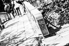 多摩川台公園,モノクロ,白黒,しろくろ,モノクローム,単色画,単彩画,単色