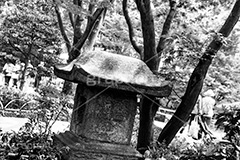 横浜公園の日本庭園,モノクロ,白黒,しろくろ,モノクローム,単色画,単彩画,単色