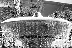 横浜公園の噴水,モノクロ,白黒,しろくろ,モノクローム,単色画,単彩画,単色