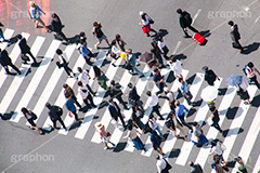 横断歩道,通勤,通学,雑踏,交差点,信号,混む,雑踏,都会の雑踏,人混み,人々,渡る,歩く,人物