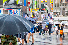 雨の日,雨,梅雨,交差点,信号,横断歩道,足元,傘,かさ,道路,アスファルト,rain,asphalt,水たまり,水溜まり,水しぶき,渋谷,スクランブル交差点,shibuya,japan