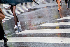 雨の日,雨,梅雨,交差点,信号,横断歩道,足元,傘,かさ,道路,アスファルト,rain,asphalt,水たまり,水溜まり,水しぶき,靴