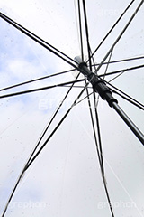 雨,あめ,梅雨,つゆ,水滴,雨粒,小雨,rain,レイン,雨上がり,ビニ傘,傘,かさ,使い捨て