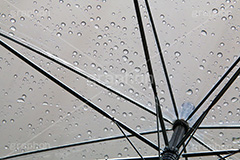 雨,あめ,梅雨,つゆ,水滴,雨粒,小雨,rain,レイン,ビニ傘,傘,かさ,使い捨て