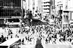 渋谷ジオラマ,モノクロ,白黒,しろくろ,モノクローム,単色画,単彩画,単色,ミニチュア