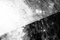 雨,モノクロ,白黒,しろくろ,モノクローム,単色画,単彩画,単色,rain