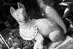花園稲荷神社,モノクロ,白黒,しろくろ,モノクローム,単色画,単彩画,単色,上野
