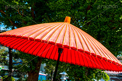 和傘,傘,かさ,カサ,和風,京和傘,茶道,わがさ,和,わ,japan