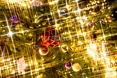 光り輝くクリスマスツリー,クリスマスツリー,イルミネーション,イルミ,illumination,tree,電飾,電球,発光ダイオード,LED,冬,キラキラ,綺麗,きれい,キレイ,煌,輝,デート,クリスマス,CHRISTMAS,Xmas,ornament,present,飾り,デコレーション,イベント,モミの木,もみの木,オーナメント,プレゼント