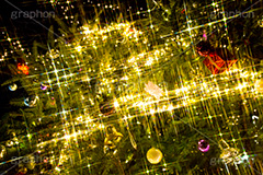 光り輝くクリスマスツリー,クリスマスツリー,イルミネーション,イルミ,illumination,tree,電飾,電球,発光ダイオード,LED,冬,キラキラ,綺麗,きれい,キレイ,煌,輝,デート,クリスマス,CHRISTMAS,Xmas,ornament,飾り,デコレーション,イベント,モミの木,もみの木,オーナメント