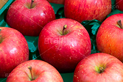 送られてきた林檎,りんご,リンゴ,林檎,フルーツ,果実,果物,fruit,apple,アップル,真っ赤,フレッシュ,fresh