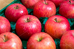 送られてきた林檎,りんご,リンゴ,林檎,フルーツ,果実,果物,fruit,apple,アップル,真っ赤,フレッシュ,fresh