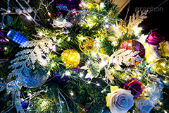 光り輝くクリスマスツリー,クリスマスツリー,イルミネーション,イルミ,illumination,tree,電飾,電球,発光ダイオード,LED,冬,キラキラ,綺麗,きれい,キレイ,煌,輝,クリスマス,CHRISTMAS,Xmas,ornament,present,飾り,デコレーション,イベント,オーナメント,薔薇,バラ,ラメ