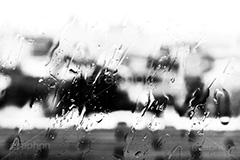 雨の日(モノクロ),モノクロ,白黒,しろくろ,モノクローム,単色画,単彩画,単色,雨粒