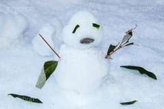 ゆるい顔の雪だるま,雪だるま,スノーマン,雪,ゆき,積,冬,落葉,葉,枝,石,snowman,snow,winter