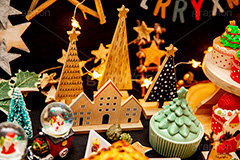 クリスマスオーナメント,クリスマスパーティー,クリスマス,パーティー,CHRISTMAS,party,ornament,tree,スター,星,オーナメント,冬,ツリー,クリスマスツリー,フルサイズ撮影