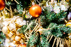光り輝くクリスマスツリー,クリスマスツリー,イルミネーション,イルミ,illumination,tree,電飾,電球,発光ダイオード,LED,冬,キラキラ,綺麗,きれい,キレイ,煌,輝,デート,クリスマス,CHRISTMAS,Xmas,ornament,飾り,デコレーション,イベント,モミの木,もみの木,オーナメント,ボール,フルサイズ撮影