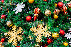 クリスマスオーナメント,クリスマスツリー,冬,クリスマス,雪の結晶,飾り,デコレーション,イベント,オーナメント,ボール,もみの木,モミの木,CHRISTMAS,Xmas,ornament,tree,フルサイズ撮影