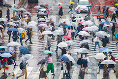 雨の日の渋谷,雨の日,雨,梅雨,交差点,信号,横断歩道,足元,傘,かさ,道路,アスファルト,水たまり,水溜まり,水しぶき,渋谷,スクランブル交差点,雑踏,都会の雑踏,都会,都心,東京,人混み,混雑,街角,街角スナップ,混む,人々,渡る,歩く,通勤,通学,人物,shibuya,japan,rain,umbrella