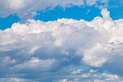 入道雲,雨雲,ゲリラ豪雨,豪雨,空,雲,積乱雲,青空,お天気,空/天気,空/雲,夏,サマー,自然,summer,sky,natural