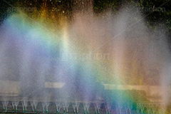 噴水に虹,公園,噴水,水柱,虹,にじ,レインボー,ファウンテン,rainbow,フルサイズ撮影