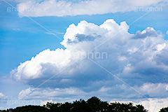 入道雲,雨雲,ゲリラ豪雨,豪雨,空,雲,積乱雲,青空,お天気,空/天気,空/雲,夏,サマー,自然,summer,sky,natural,フルサイズ撮影