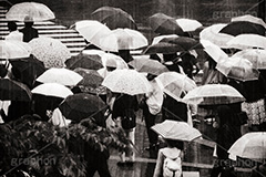 雨の日,モノクロ,白黒,しろくろ,モノクローム,単色画,単彩画,単色,レトロ,お洒落,おしゃれ,オシャレ,味わい,傘,渋谷