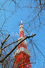 東京タワー,タワー,総合電波塔,電波,塔,日本電波塔,333m,とうきょうタワー,Tokyo Tower,港区,東京のシンボル,観光名所,冬,japan