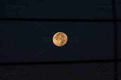 満月,月,夜空,空,ムーン,ルーナ,天体,光,白色,月見,お月見,空/天気,電線,怪しい,moon,sky,フルサイズ撮影
