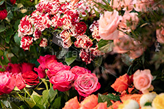 お花屋さん,花,フラワー,ショップ,花屋,カラフル,色とりどり,薔薇,バラ,ローズ,rose,flower,shop,フルサイズ撮影