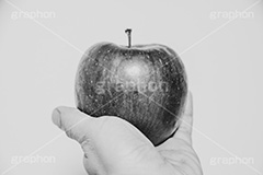 林檎,りんご,リンゴ,アップル,モノクロ,白黒,しろくろ,モノクローム,単色画,単彩画,単色,レトロ,お洒落,おしゃれ,オシャレ,味わい,懐かしい,apple