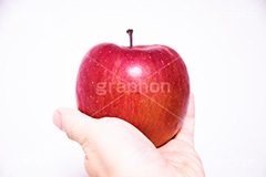アップル,りんご,リンゴ,林檎,手,ヴィンテージ,ビンテージ,レトロ,お洒落,おしゃれ,オシャレ,味わい,懐かしい,apple,hand