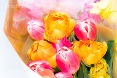 春の花束,チューリップ,花,花束,贈り物,プレゼント,フラワー,スプリング,春,ガーリー,パステル,カラフル,flower,colorful,tulip,spring,pastel,present